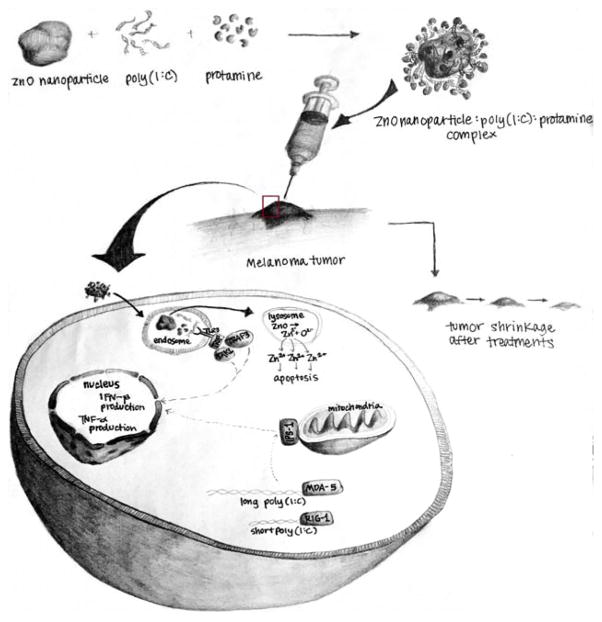 FIGURE 3