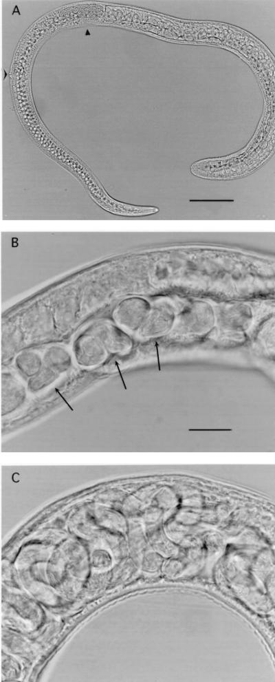 FIG. 5.