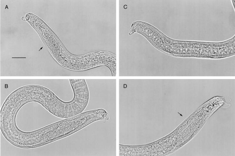 FIG. 4.