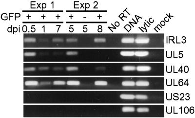 Fig 5.