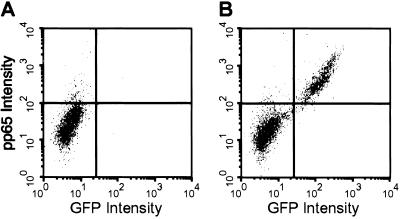 Fig 1.