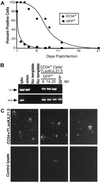 Fig 3.