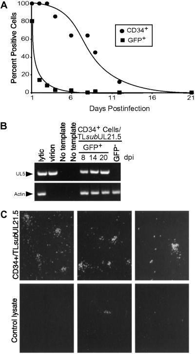 Fig 3.