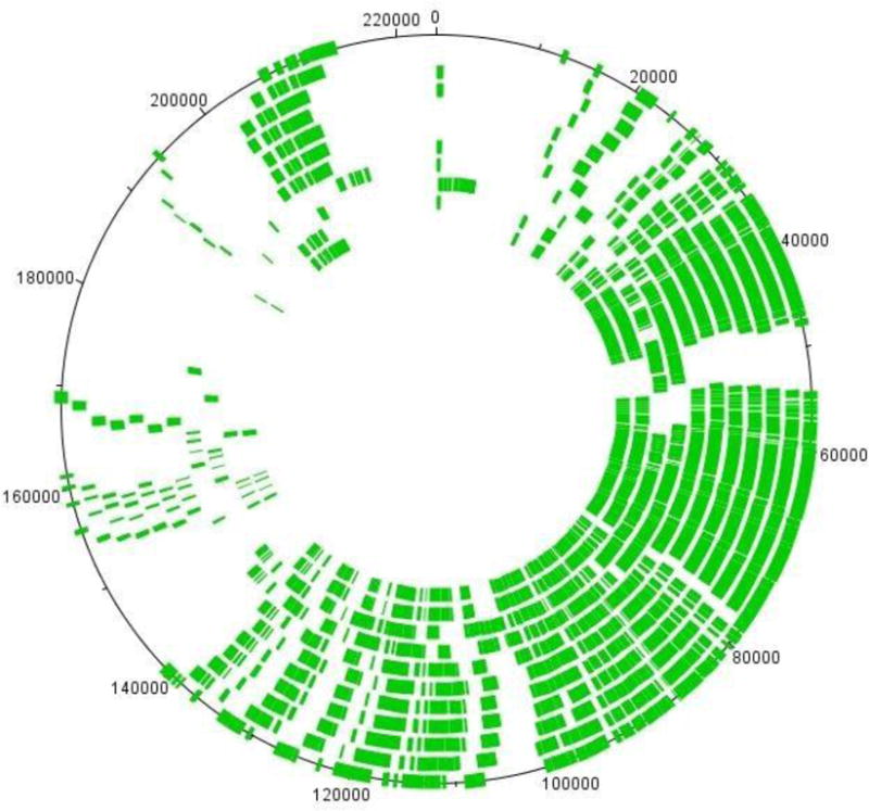 Fig. 2