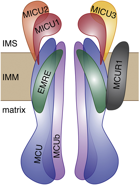 Figure 1.