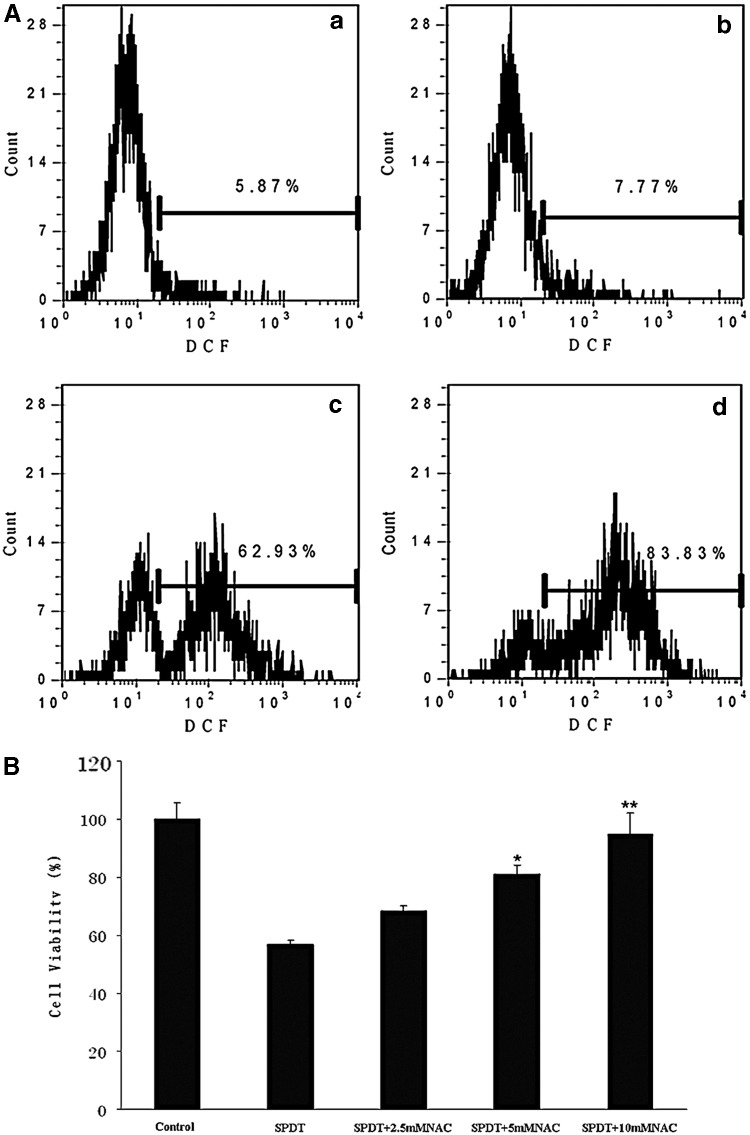 FIG. 8.