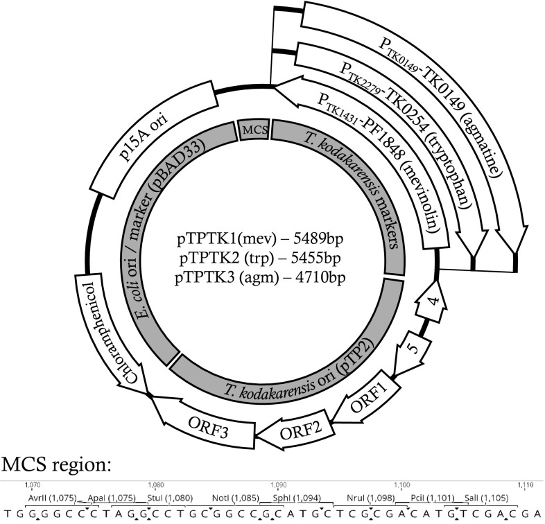 Fig. 2