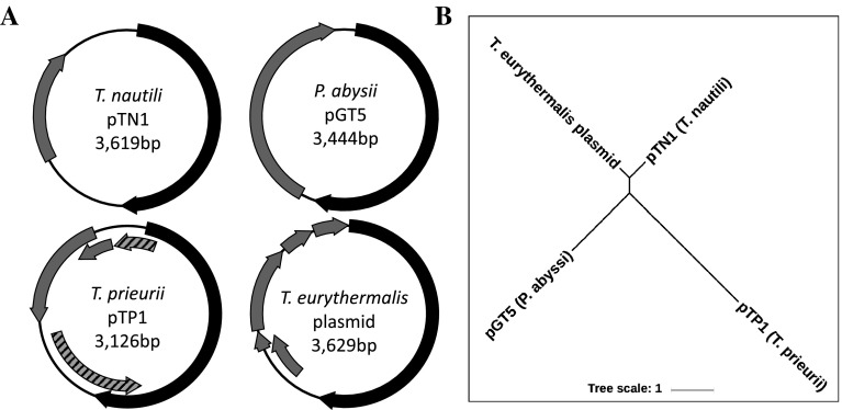 Fig. 1