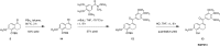 Scheme 4