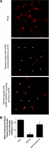Fig. 9.