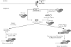 Fig. (3). Cytoplasmic component of microRNA biogenesis.