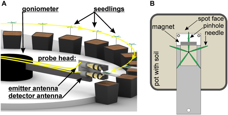 Figure 6.