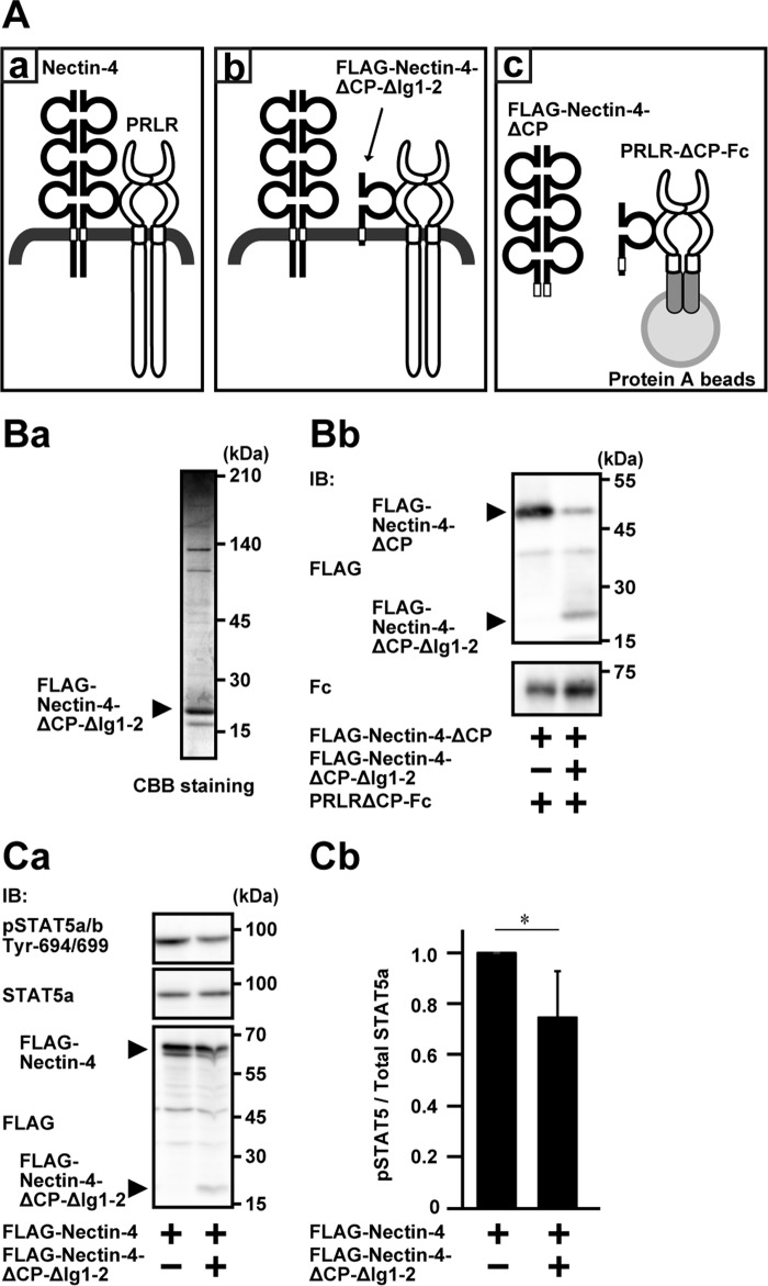 Figure 9.