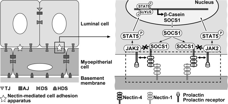 Figure 10.