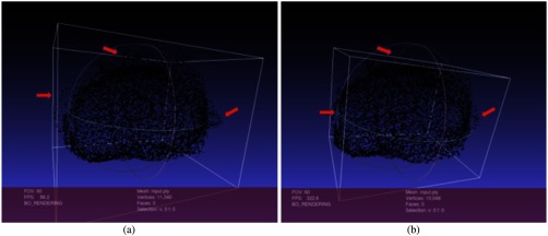 Fig. 10