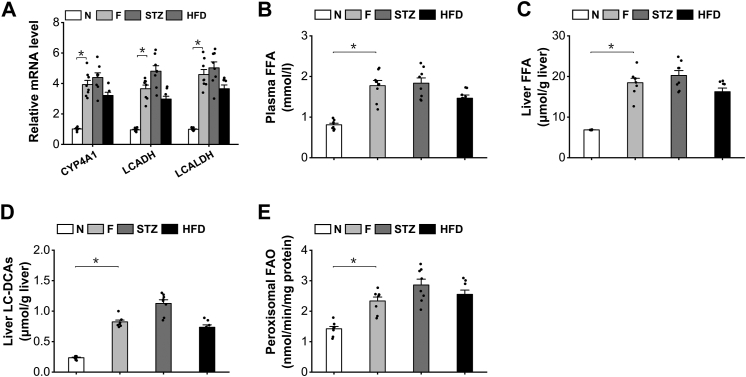 Figure 5