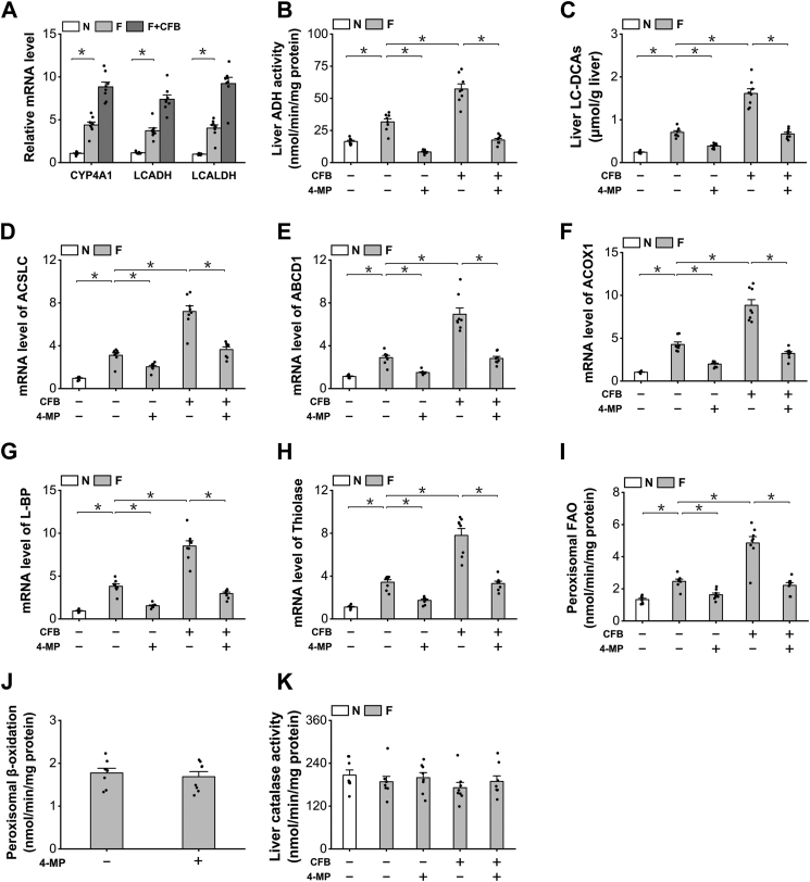 Figure 6