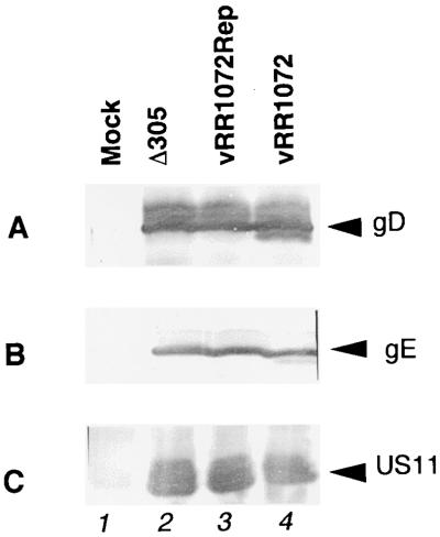 FIG. 7