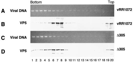 FIG. 8