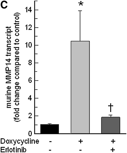 Figure 9.