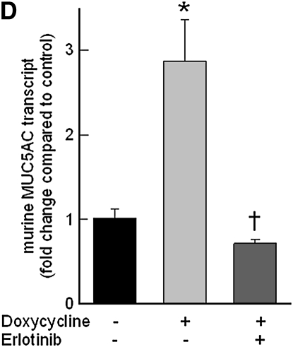 Figure 9.