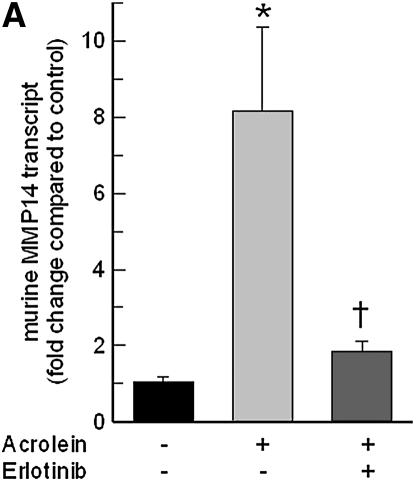 Figure 9.