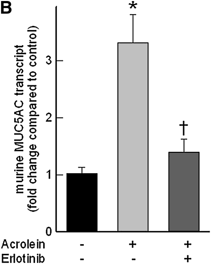 Figure 9.