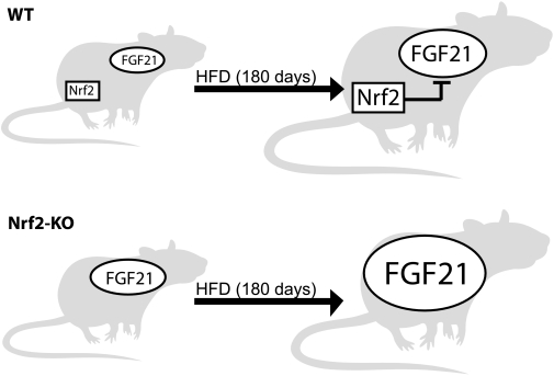 FIG. 7.