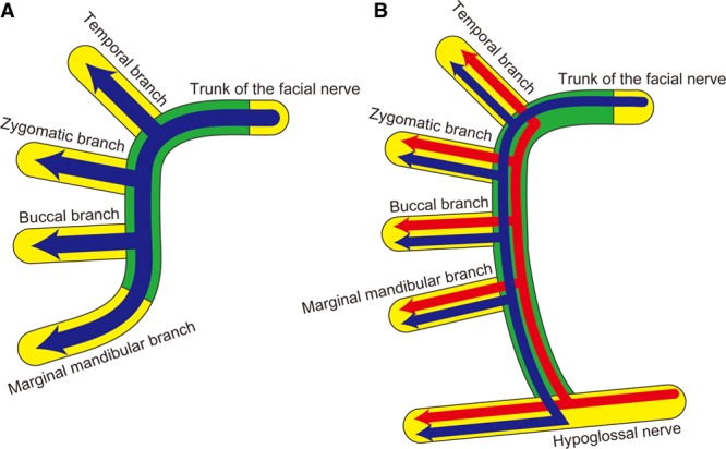 Fig. 6.