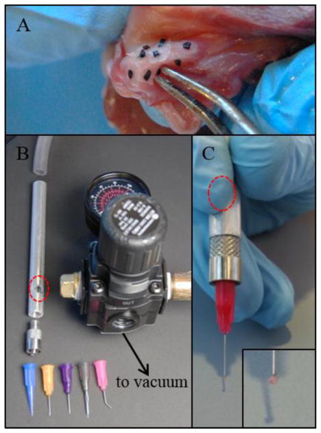 FIGURE 1