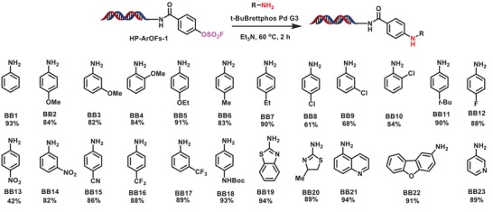 Scheme 3