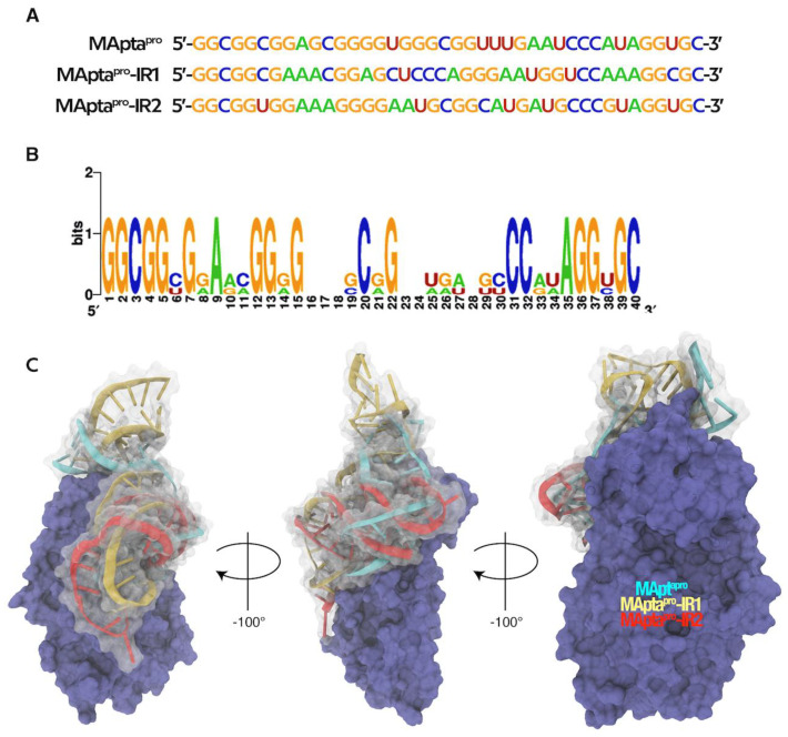 Figure 6