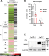 FIG 1