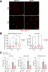 FIG 3