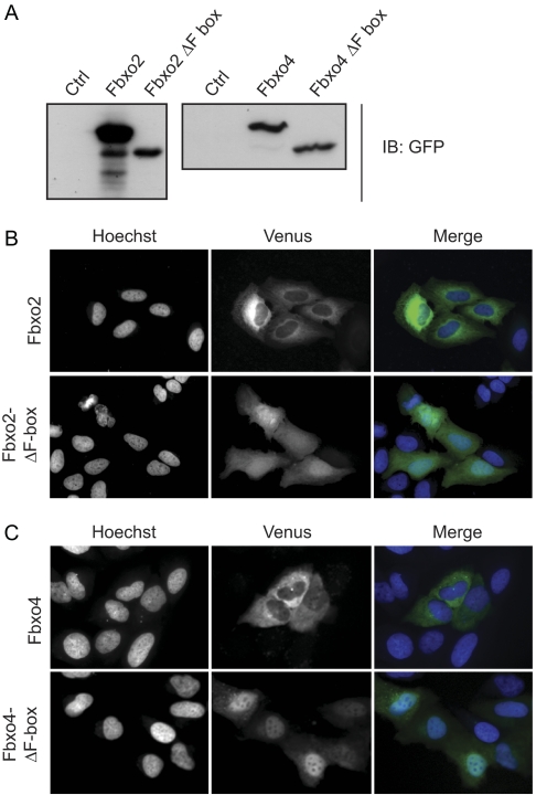 FIGURE 3.