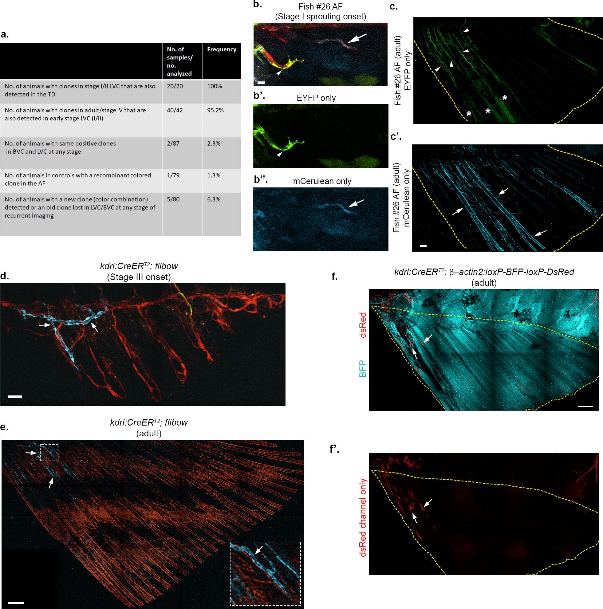 Extended Data Fig. 4: