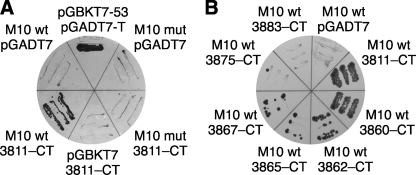 FIGURE 2.