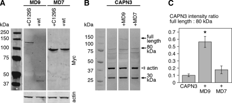 FIGURE 7.