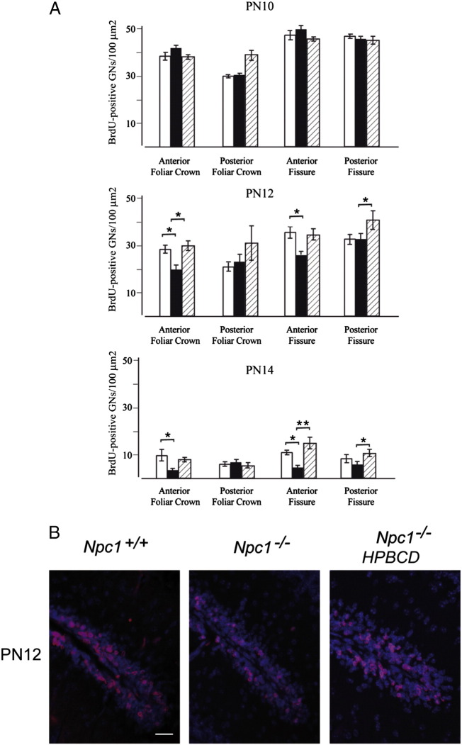 Fig. 4