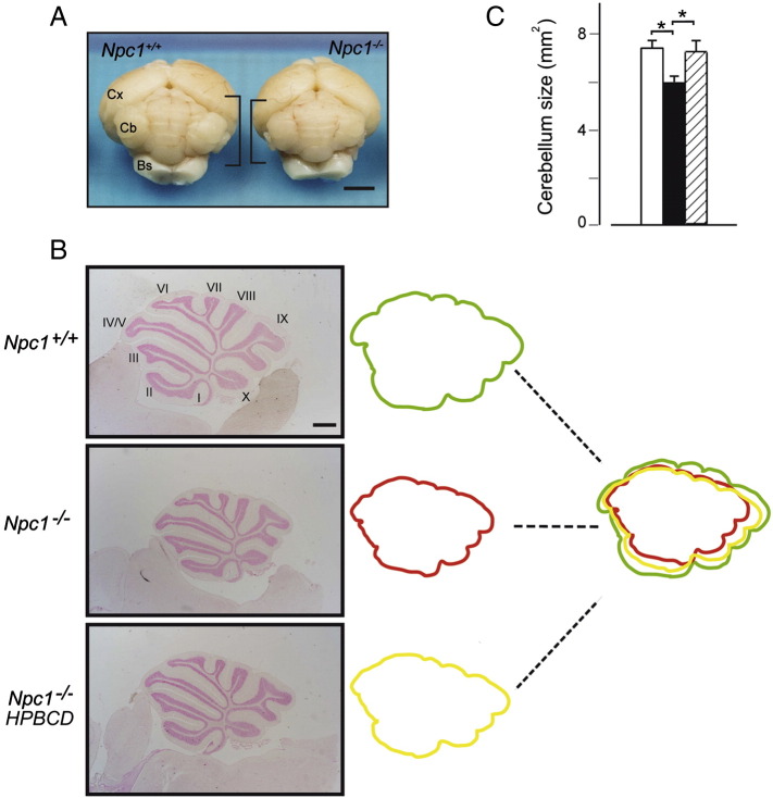 Fig. 1