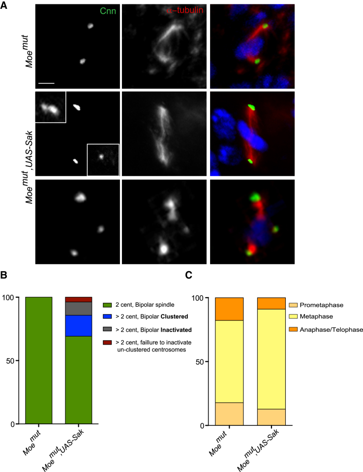 Figure 6