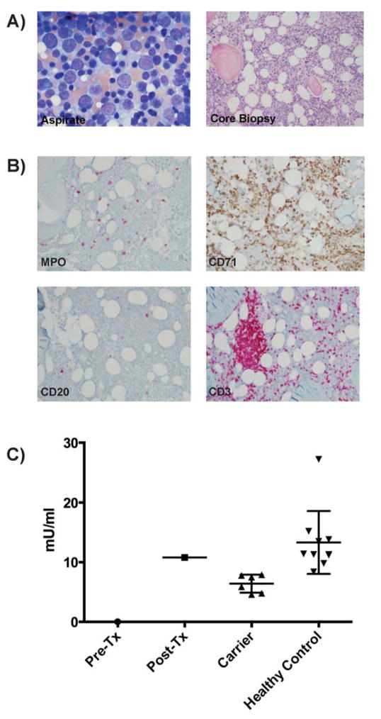 FIG. 1