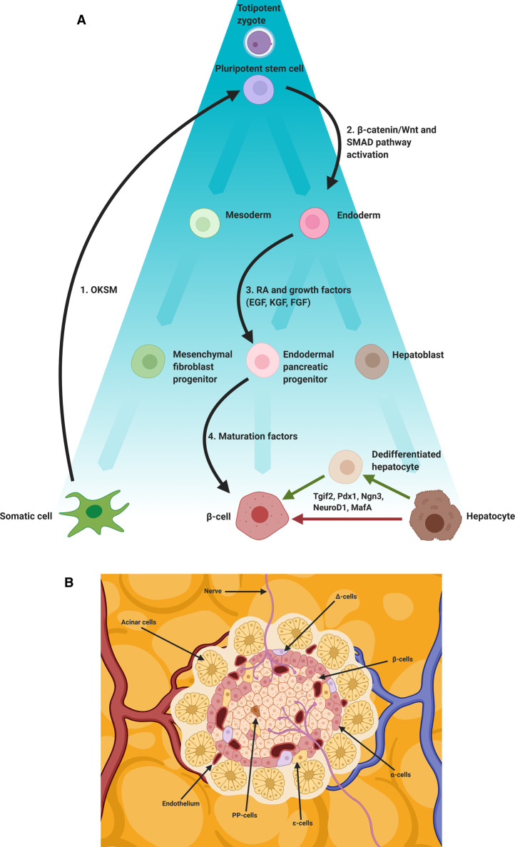 Figure 1.