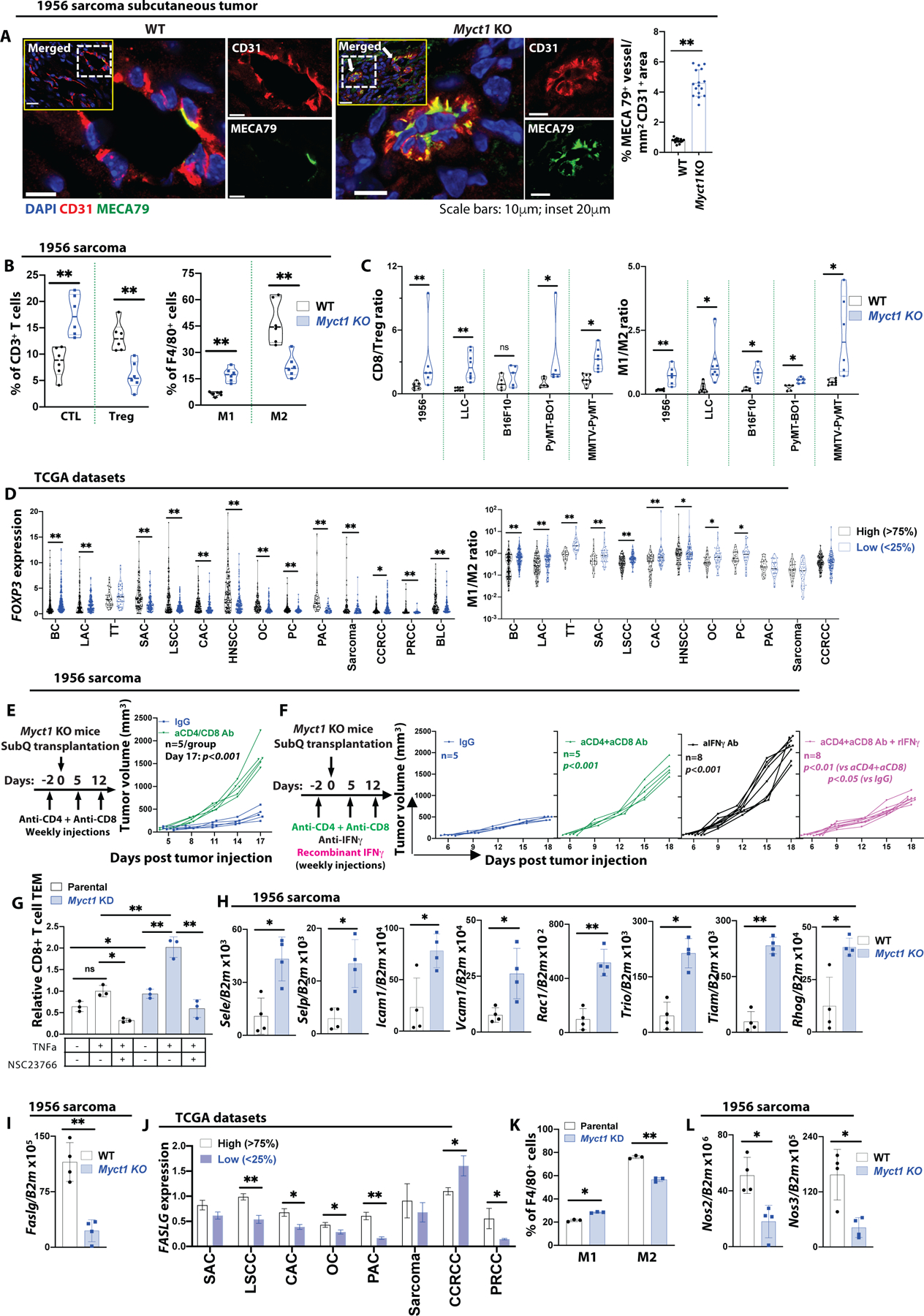 Figure 6: