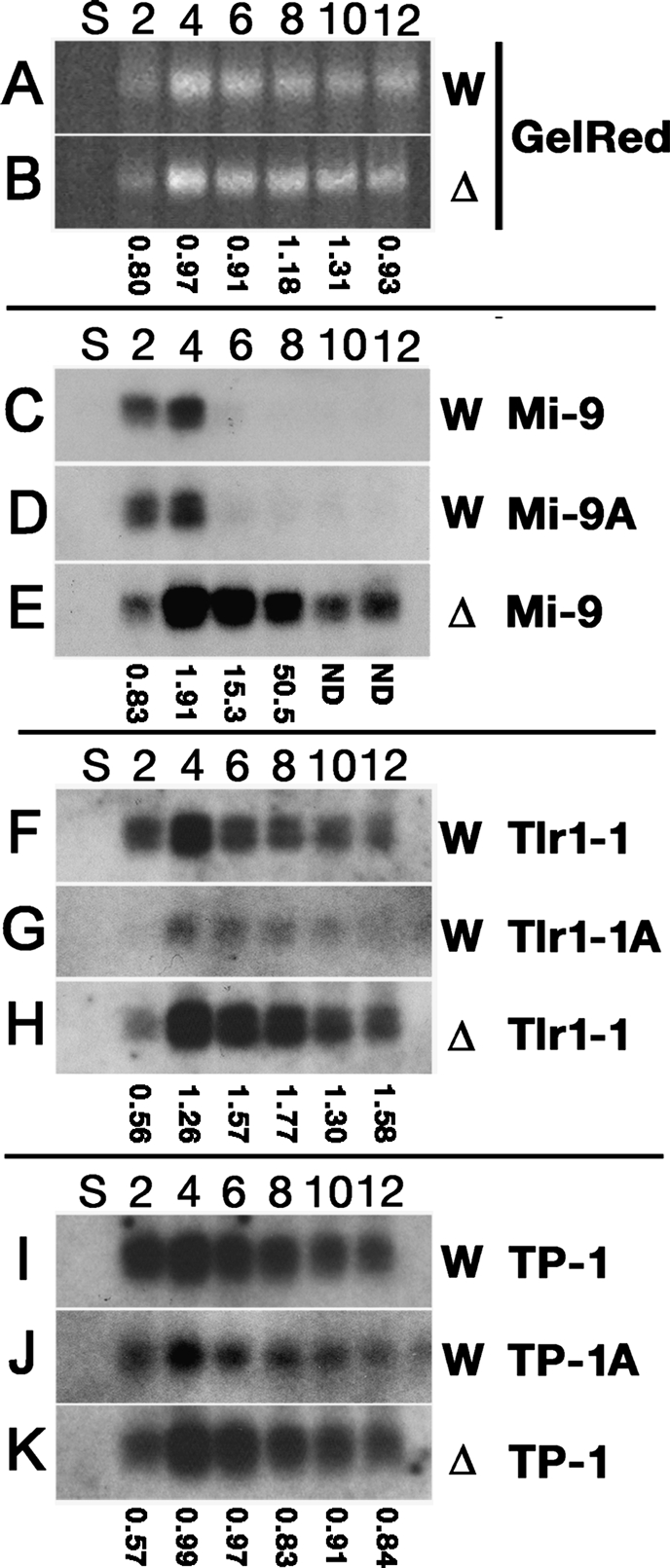 Figure 6.