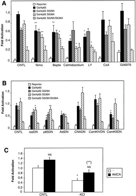 FIG. 9.