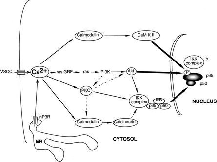 FIG. 12.