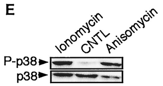 FIG. 11.