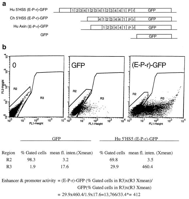 FIG. 4.