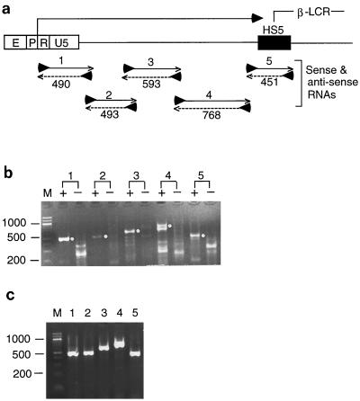 FIG. 7.